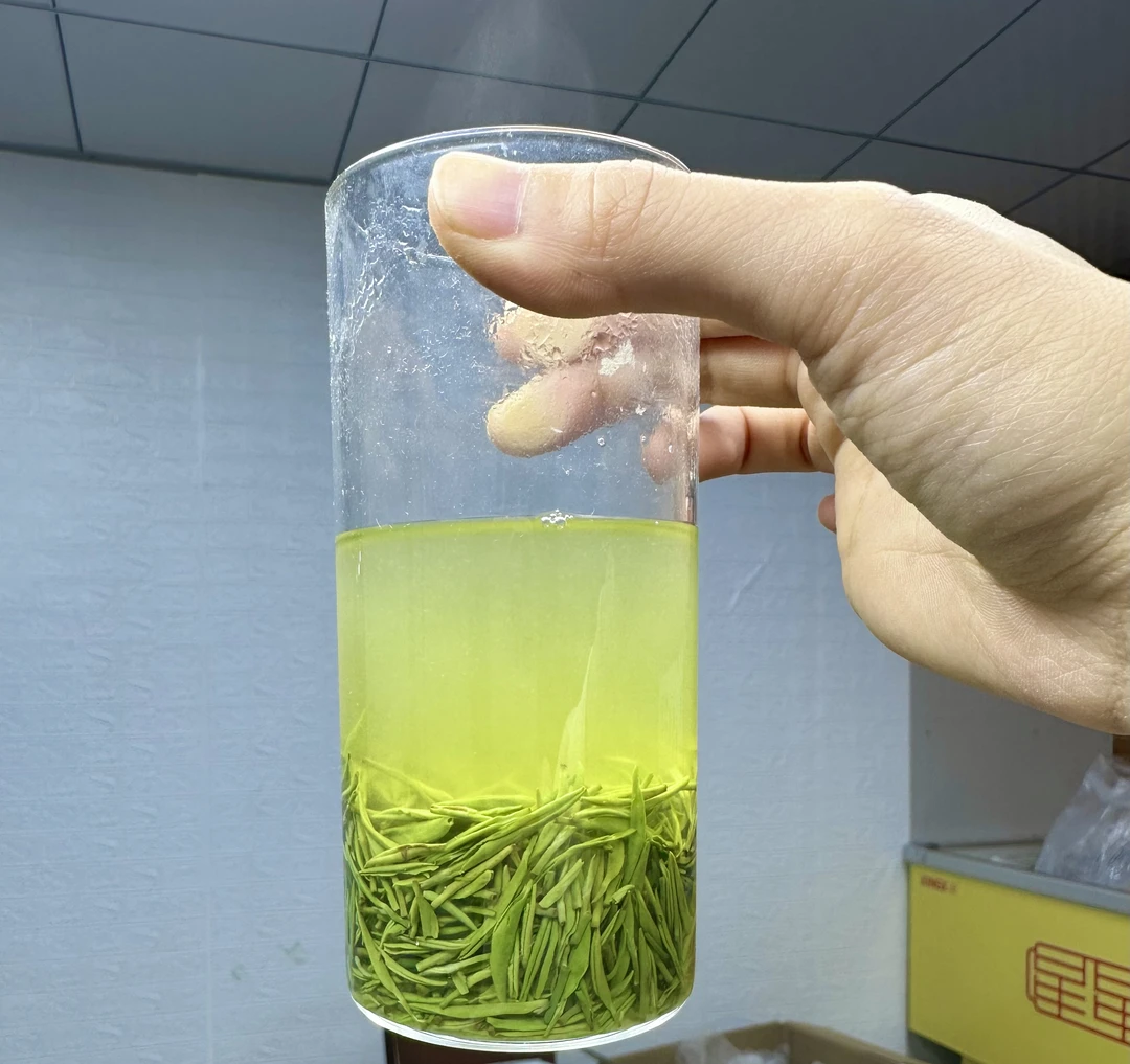 信阳早春嫩芽毛尖自家茶园实惠