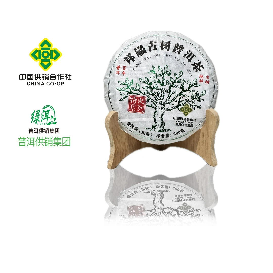 普洱供销集团  邦崴古树生茶 稀缺 生茶七子饼  甜香 赠品 饱满