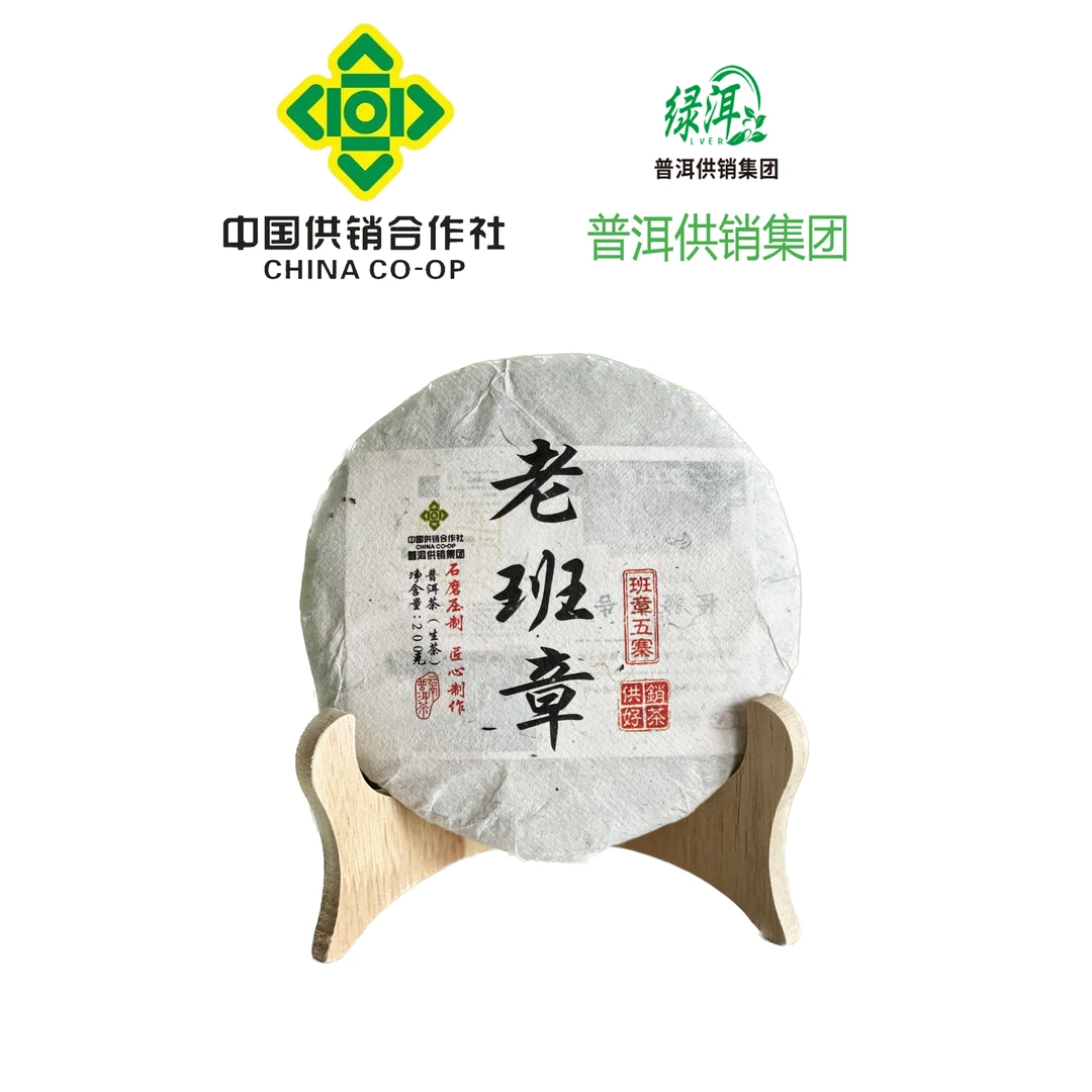 普洱供销集团 勐海老班章古树核心产区 霸气十足