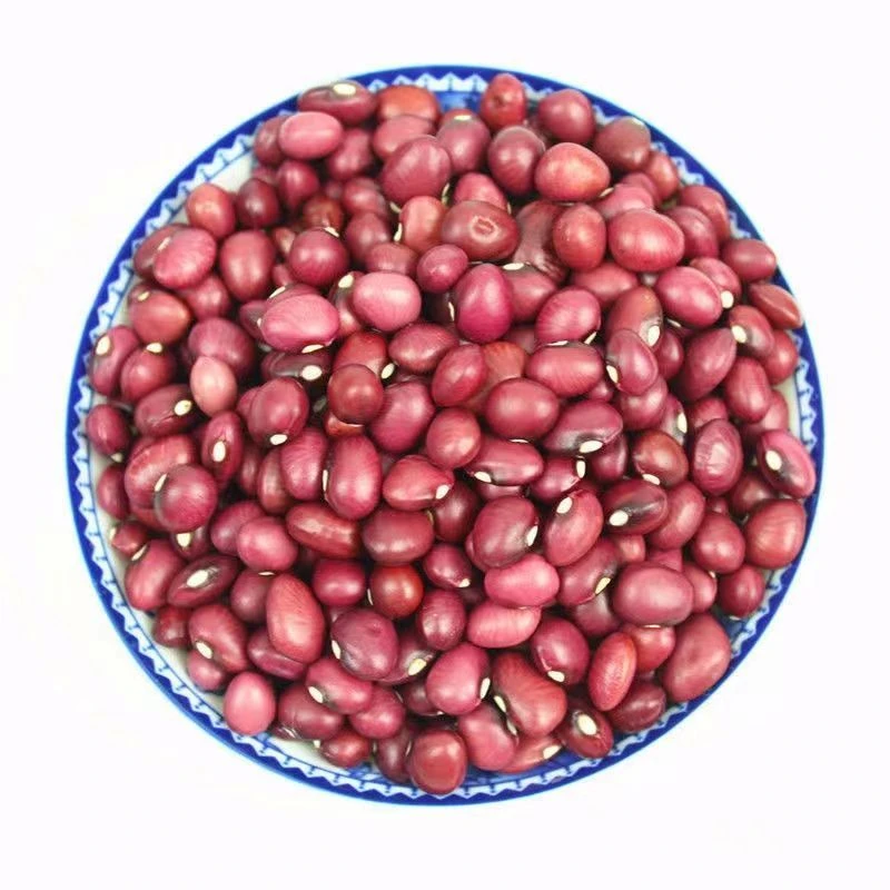 【发两斤】云南农家自产红豆红芸豆非赤小豆红扁小芸豆