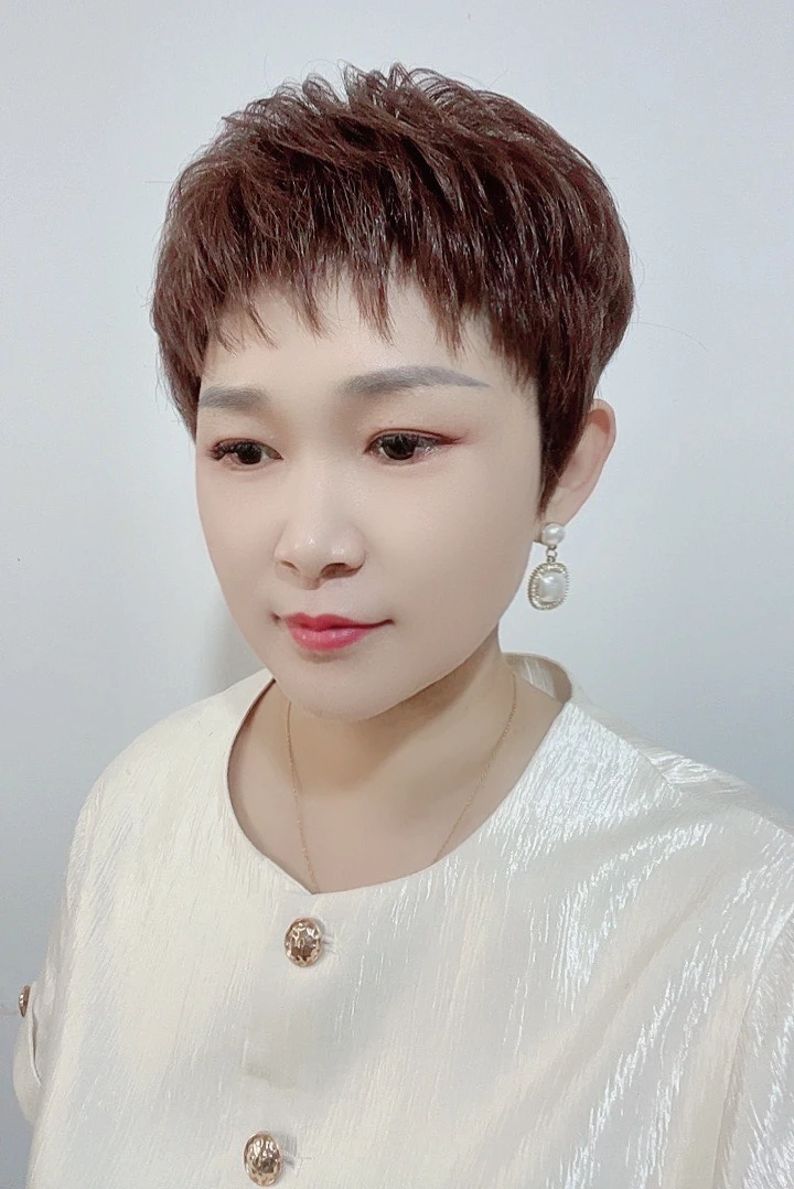 24号黛妮时尚科技记忆丝高端假发免打理私人定制佩戴轻盈老师