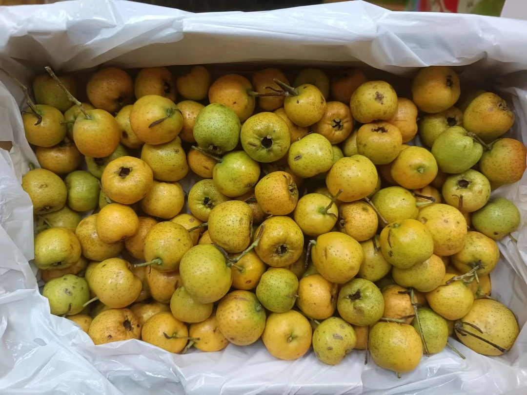 【礼盒包装】精品黄山楂