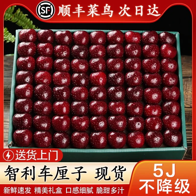 【坏果包赔】现货桑提娜智利进口车厘子1-5斤礼盒装26-34mm顺丰空运