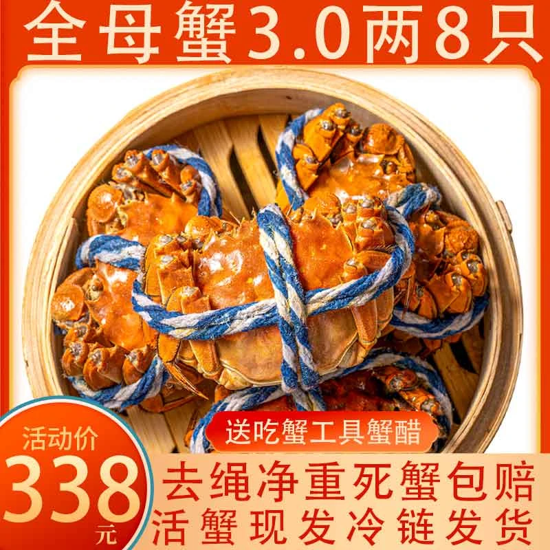 活蟹3两8只全母蟹大闸蟹鲜活螃蟹现货直发冷链螃蟹礼盒装顺丰包邮