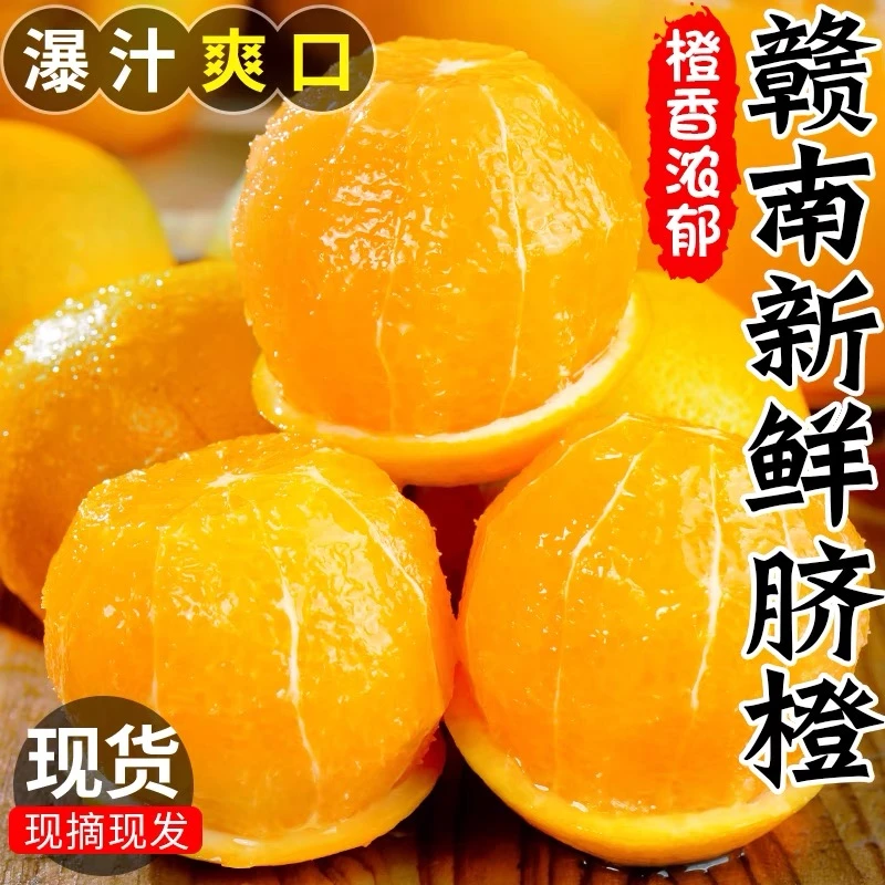 广东专线赣南脐橙 精品现摘直发 皮薄汁水多