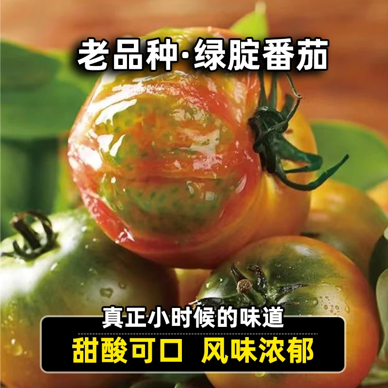 鑫选生态碱地水果番茄西红柿3-5斤 多汁美味 产地鲜采顺丰直发