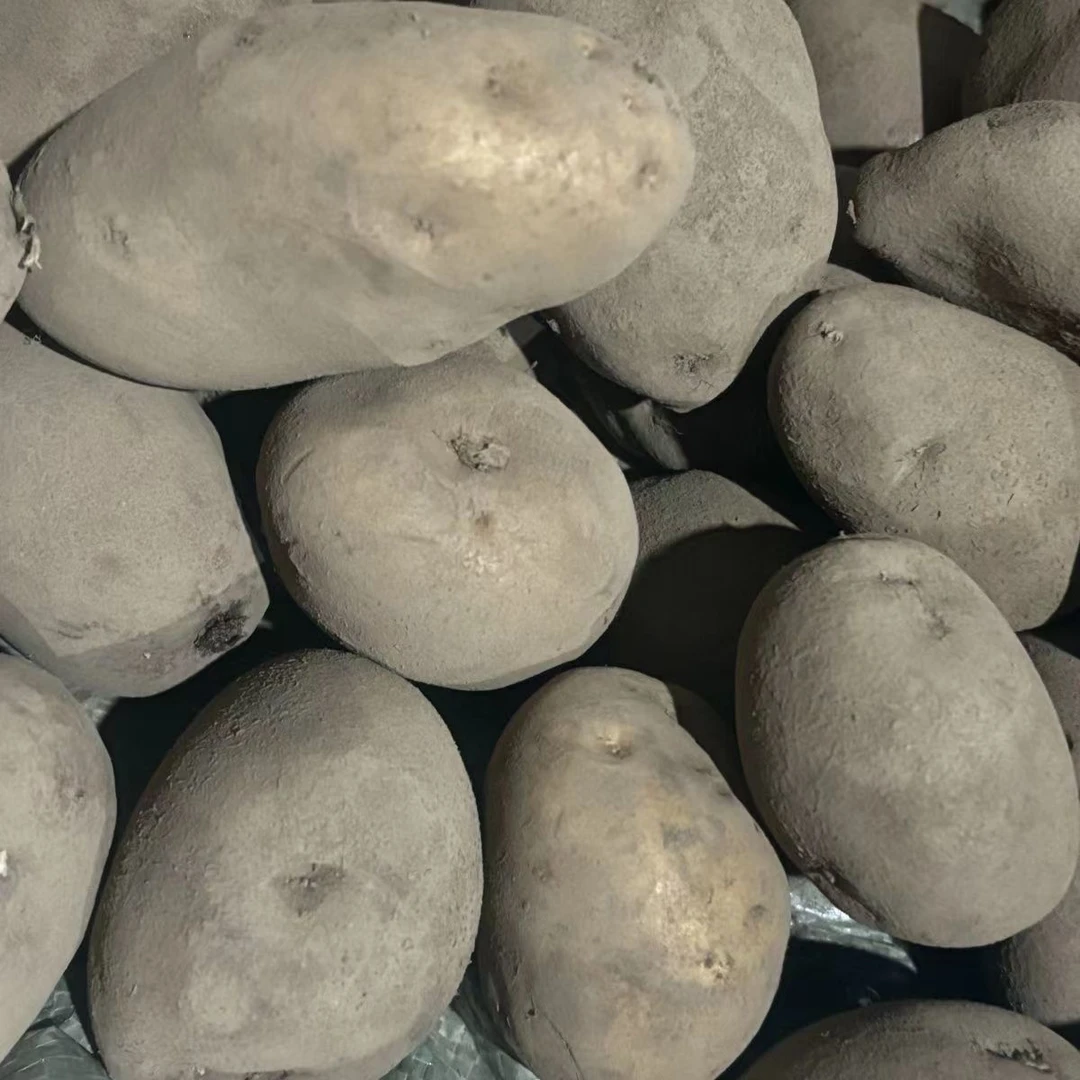 贵州黄皮黄心洋芋