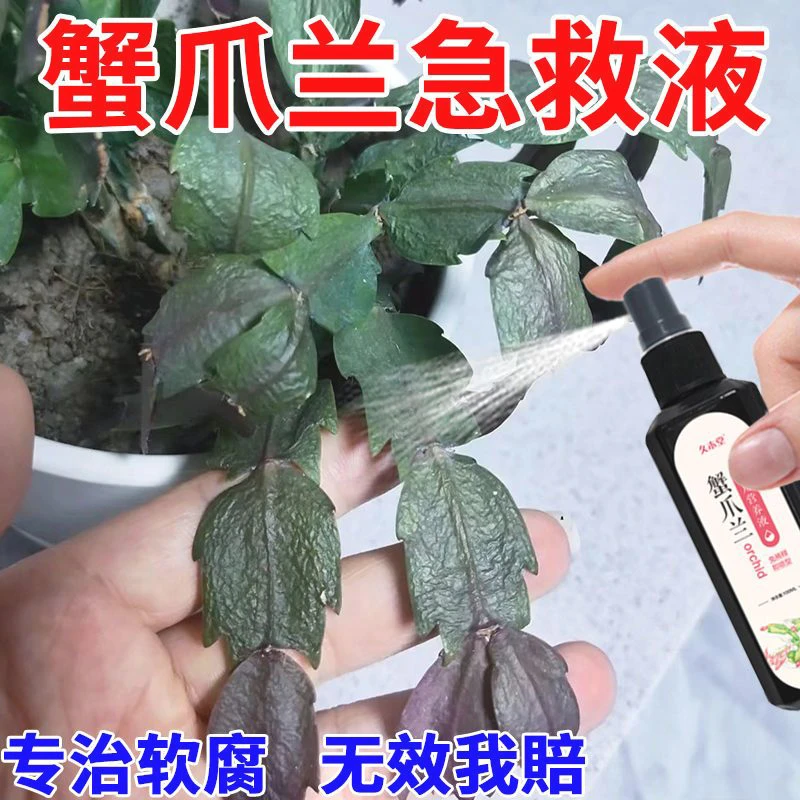 直喷型蟹爪兰催花剂免稀释营养液防黄叶烂根促开花增绿植物生长肥