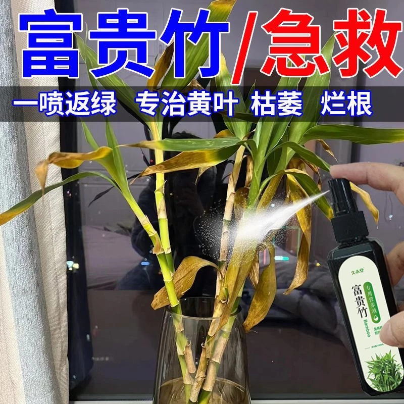 竹通用型营养液专治黄叶烂根一喷绿水培植物通用新型肥料植物花卉