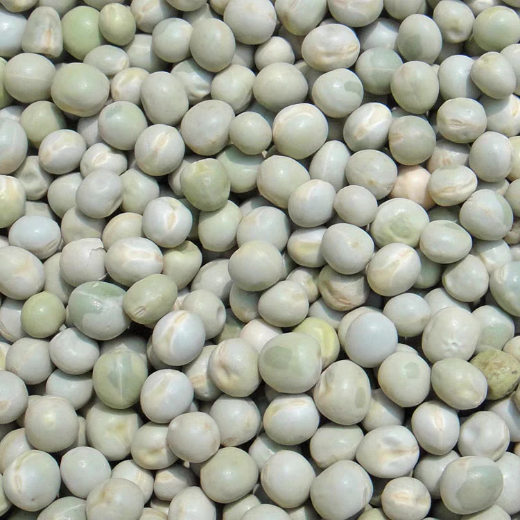 【青豌豆】农村青豌豆山货土货干货（3斤）