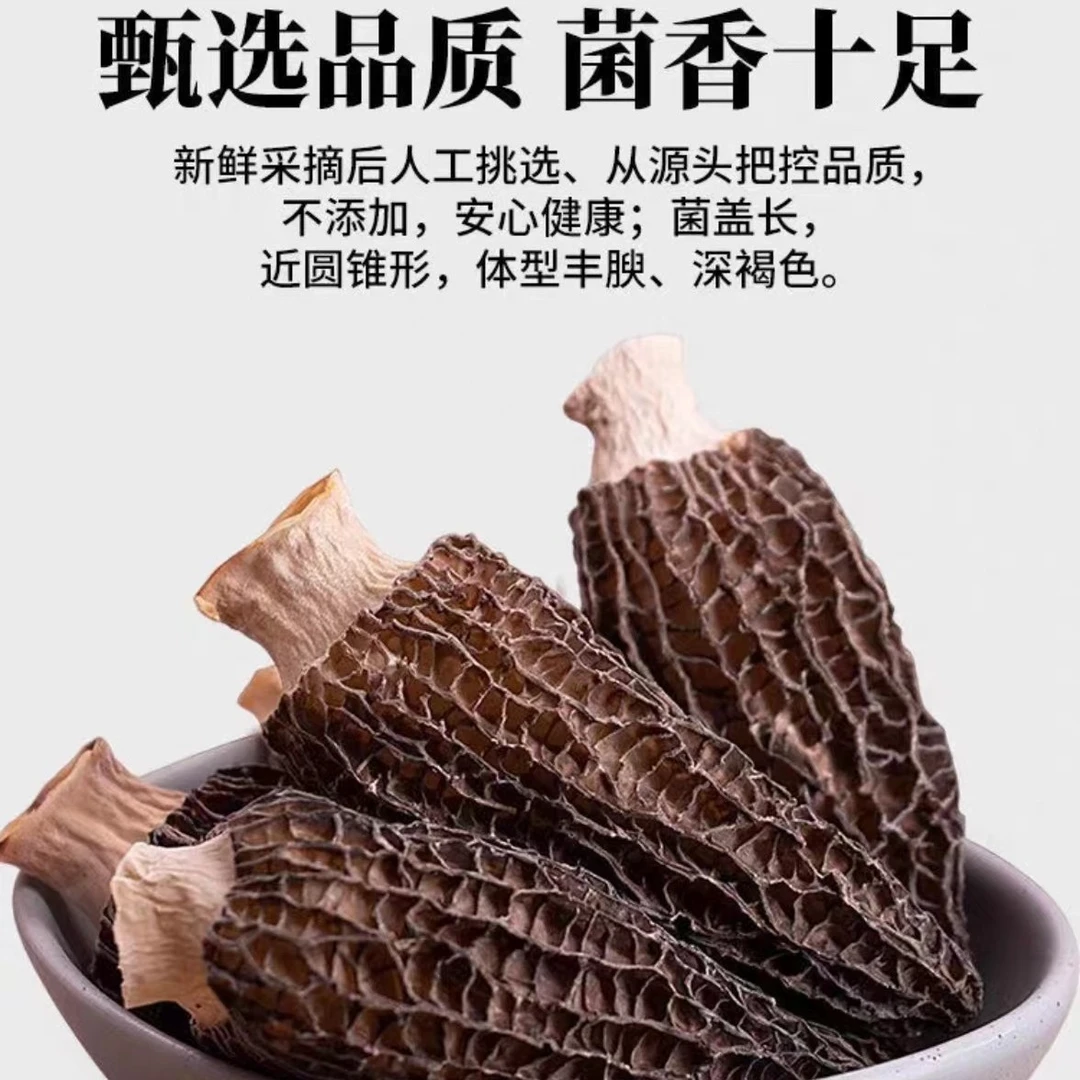 【羊肚菌】深山食用高级菌菇