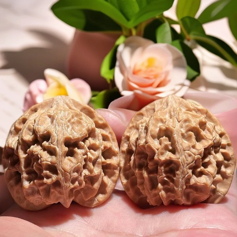 文玩无药苹果园全品无修