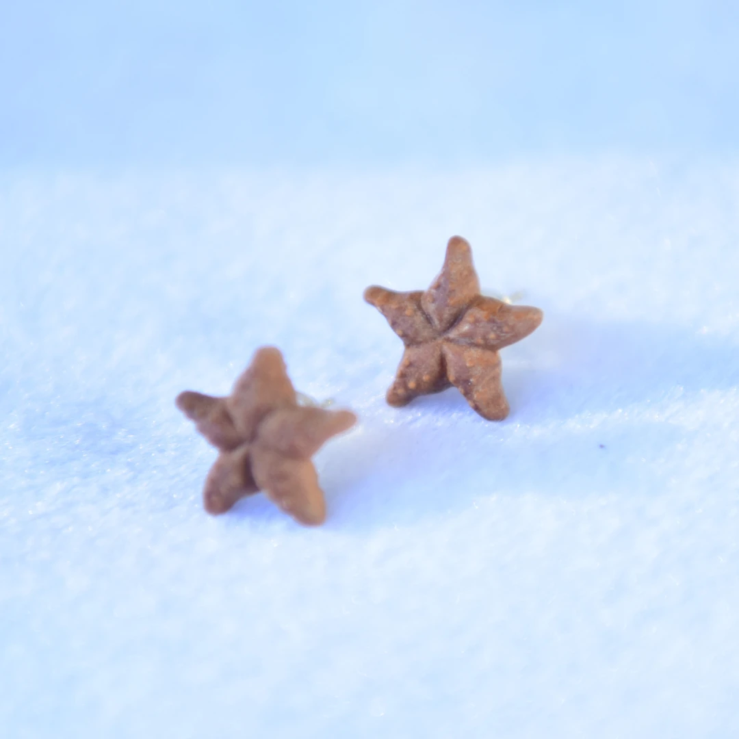 印度老山檀香手串 黑肉 文玩好物 海星耳环耳钉 调皮可爱爆款