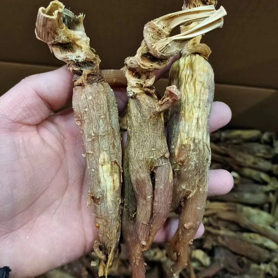 林下参250克(半斤)滋补养生补品 煲汤泡酒泡水浓郁 免费切片