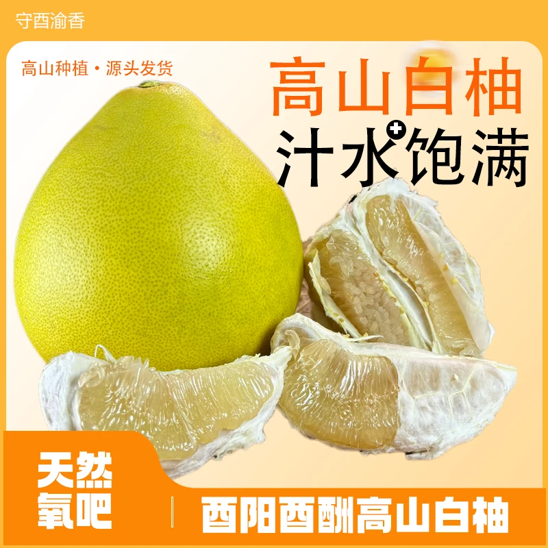 重庆酉阳酉酬高山白柚4.5kg口感酸甜适中果味足爽口