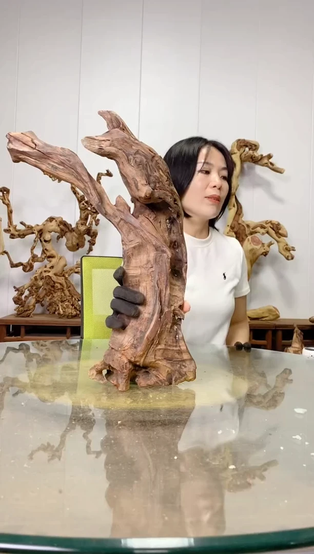 【闪购商品】香榧木18 枯树摆件 粗磨粗加工半成品 毛料