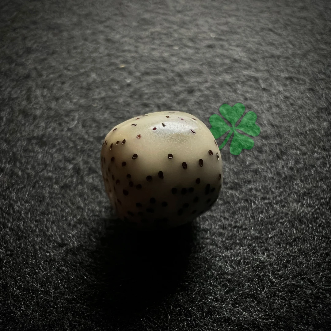 A6礼盒款星月菩提念珠文玩好物手把件多样性发货