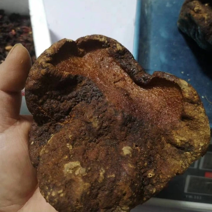 鑫腾土特产    雪～D   非香菇