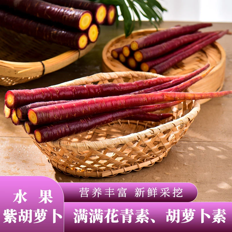 大理紫玉胡萝卜生吃甜脆 3/5/9斤煮熟紫色微甜花青素萝卜生态农家