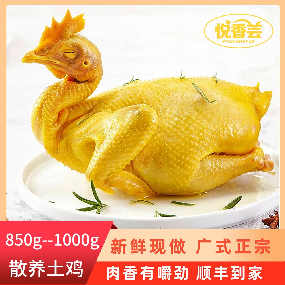 【肥牛专属】农家古法五指毛桃盐焗鸡手撕鸡熟食850g–1000g