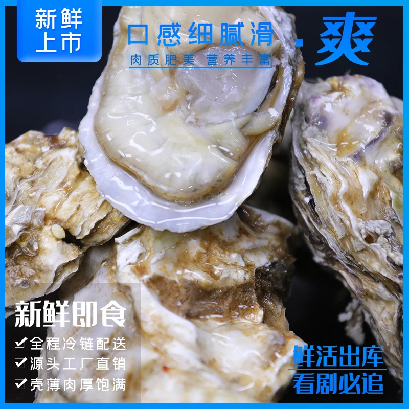 3XL 拍5斤发8斤（聚餐款约26~34只）鲜活品质 不好全退 坏损包赔
