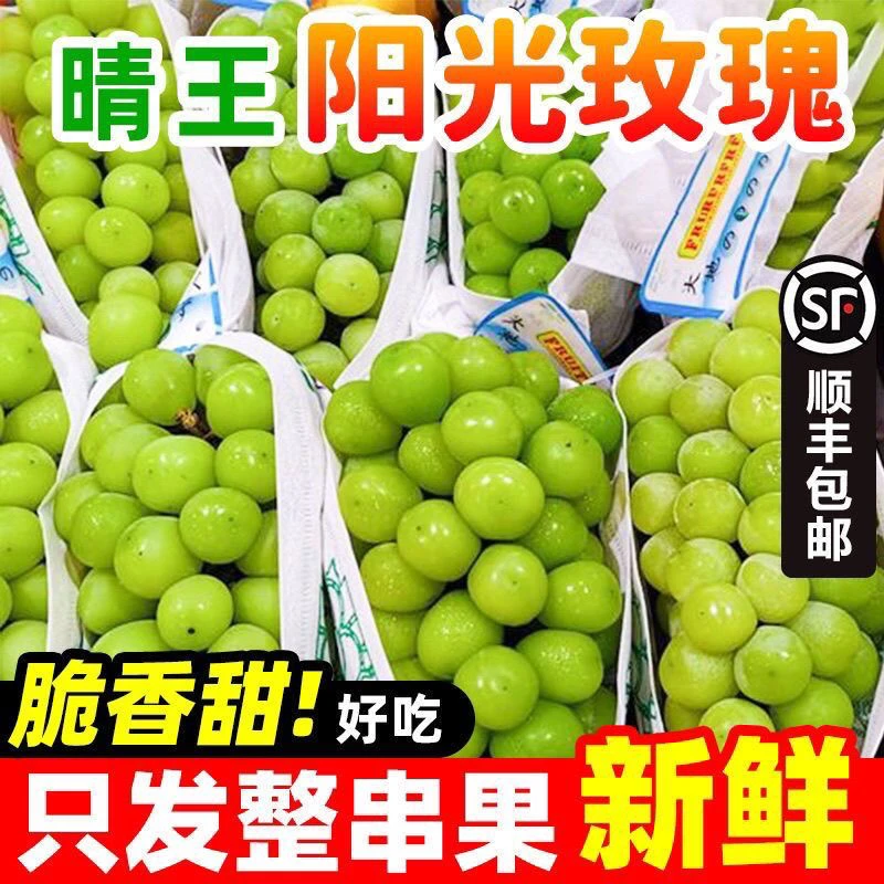 【顺丰包邮】正宗晴王阳光玫瑰脆甜无核新鲜当季整箱孕妇水果