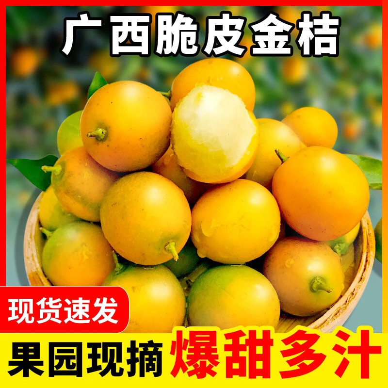 【爆甜多汁】广西小金桔桂林脆皮金桔脆甜新鲜水果当季冰糖脆皮金桔