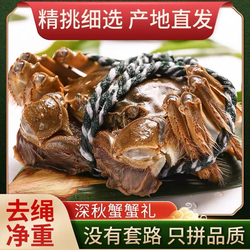 【长沙全城配送】正宗江苏精品大闸蟹 3母 3.0-3.2两左右（包活包有黄，中蟹会客装）默认不绑腿