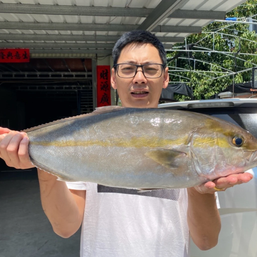 新鲜章红鱼8-10斤 刺身日料级 台海狮鱼红甘油甘狮鱼 新鲜发货