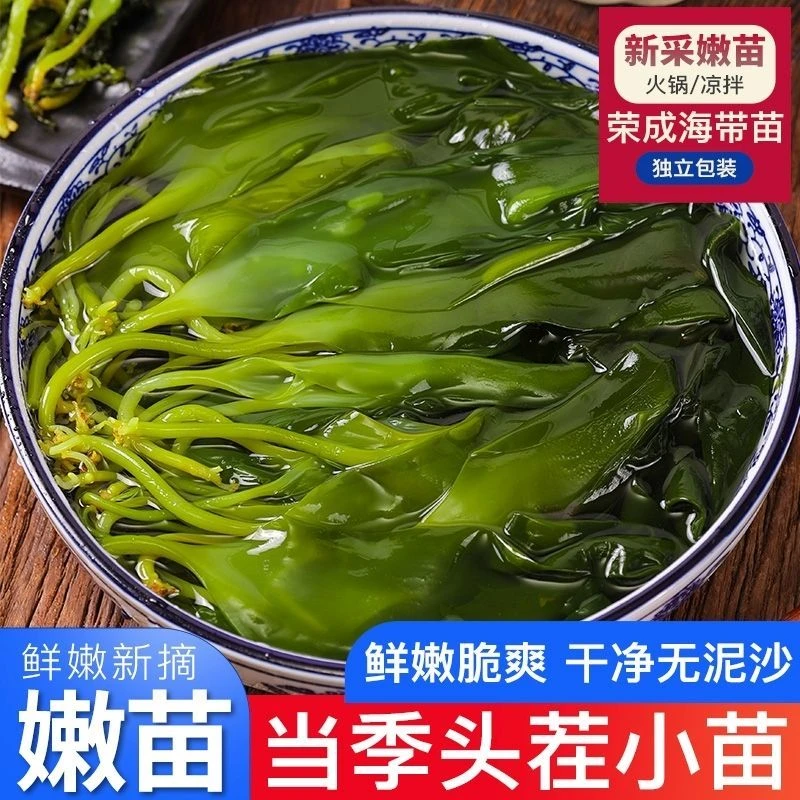 福建霞浦头水新鲜嫩苗脆爽嫩苗烹饪新鲜苗低脂肪凉拌火锅500g好吃
