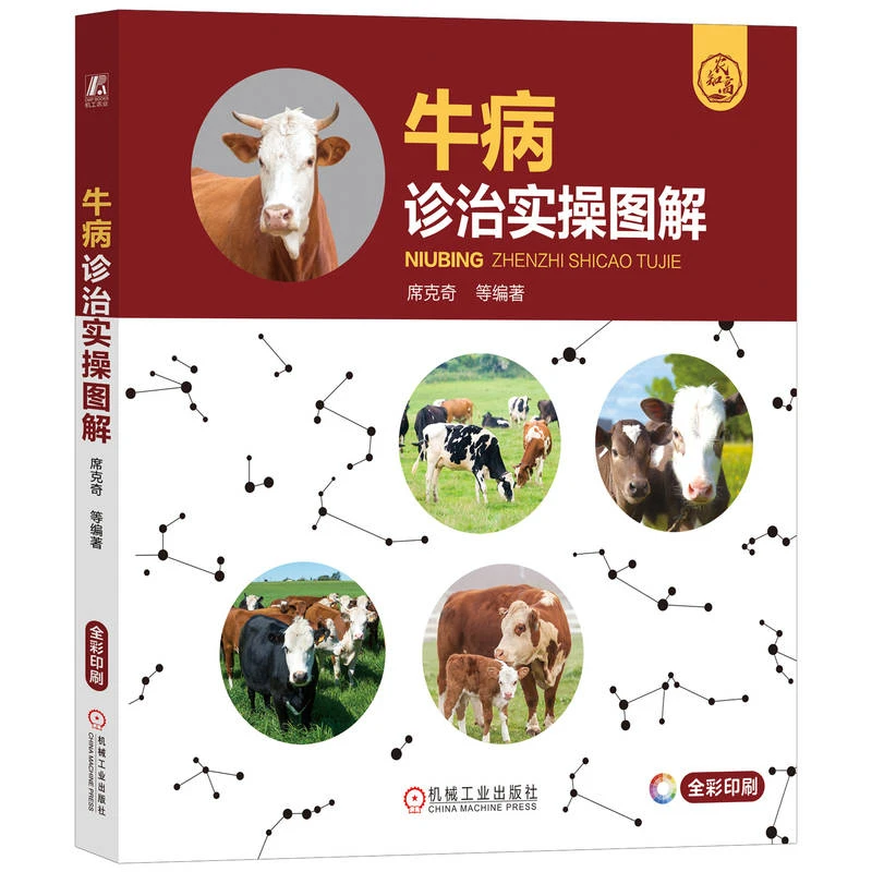 牛病诊治实操图解    看图识病、鉴别诊断及有效防治疾病的实用书
