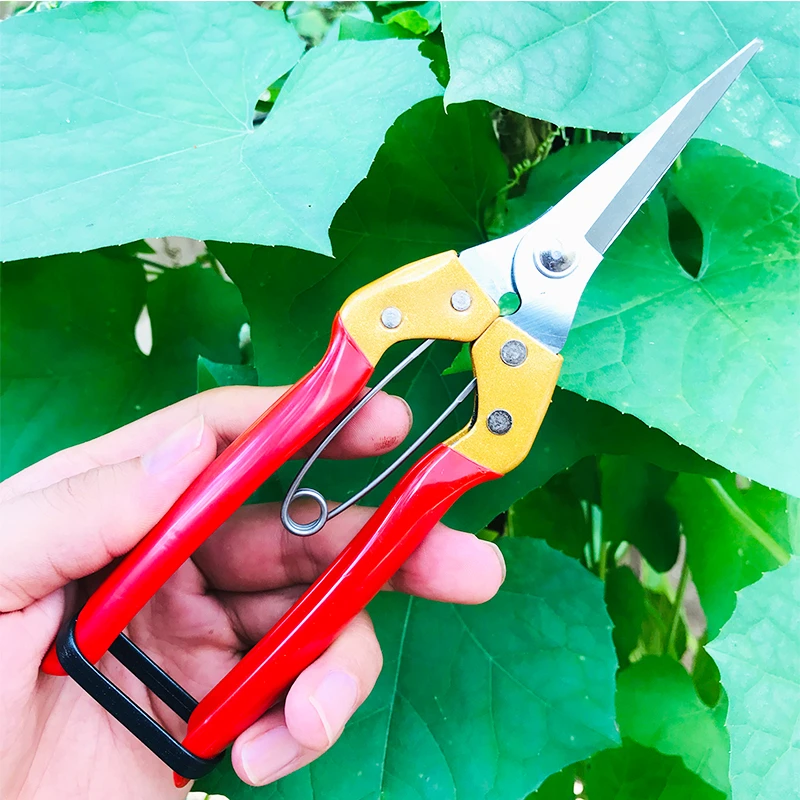 修枝剪树枝剪果树剪【补差价专用请勿购买】