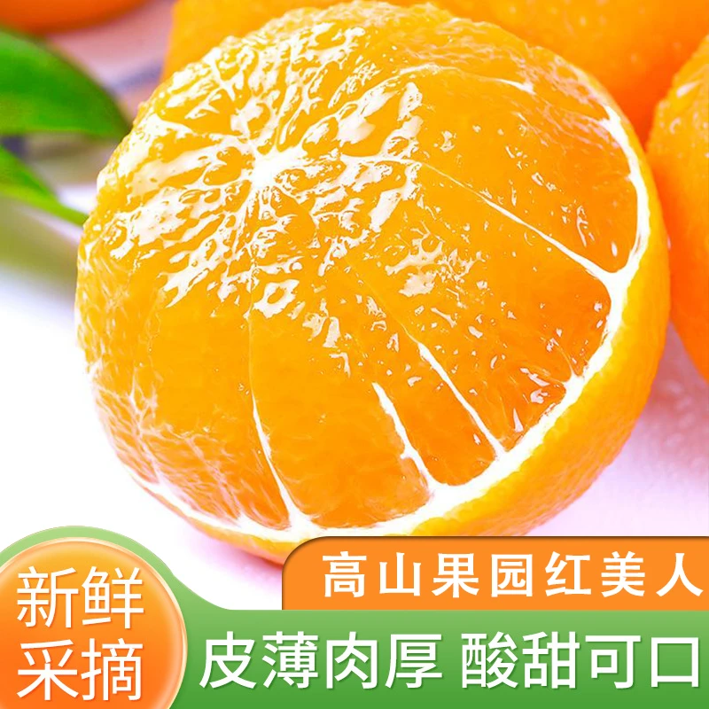 红美人特大果8只装自家果园种植现摘红美人柑橘新鲜皮薄多汁新鲜