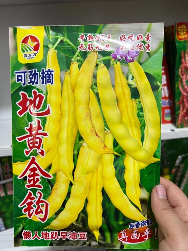 不上架黄金钩种子50克