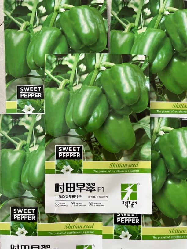 时田早翠甜椒种子500粒左右