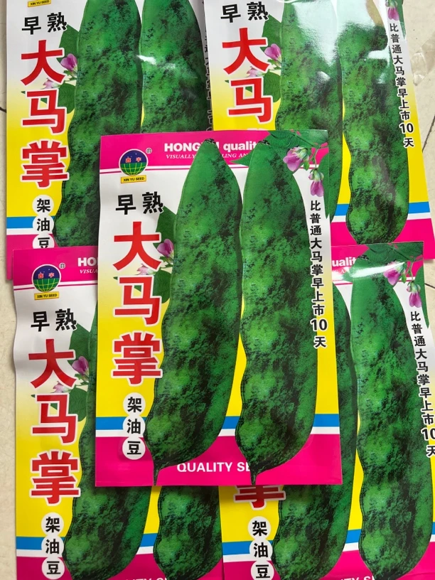 大马掌豆角种子100克