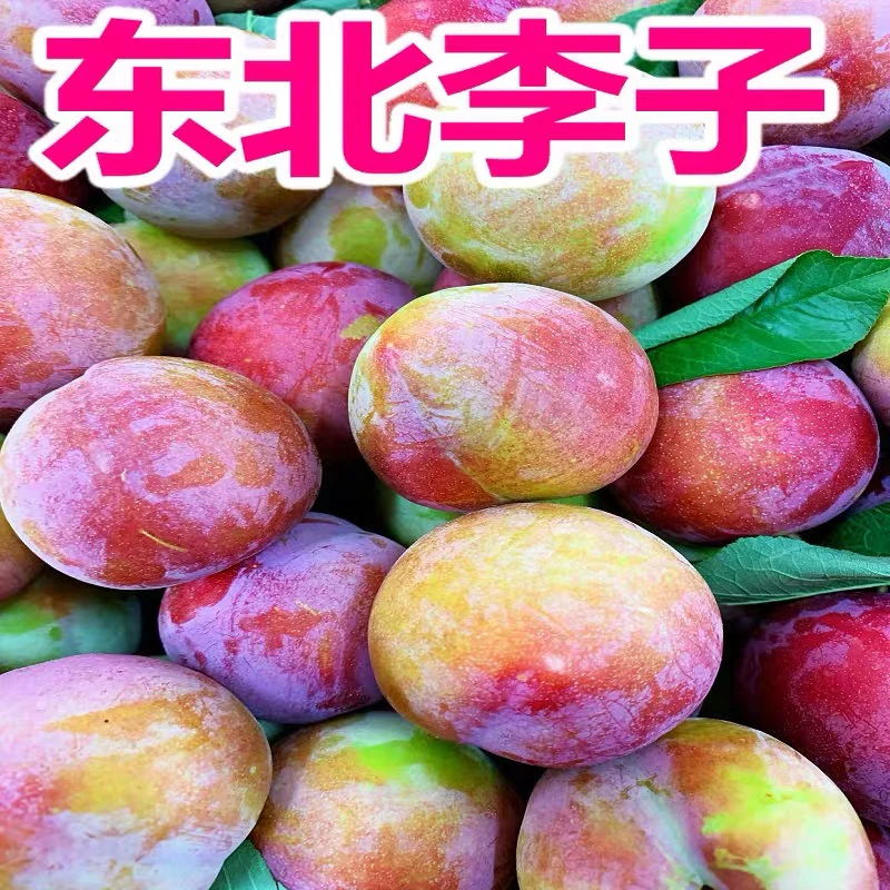 （热卖爆款）大红袍干核李子脱骨李子正宗大红袍李子桃型李子