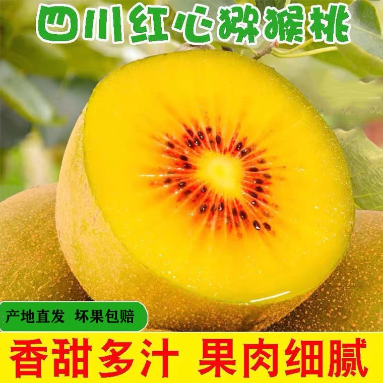 四川红心猕猴桃正宗蒲江奇异果新鲜水果当季整箱10-30粒 50-130g