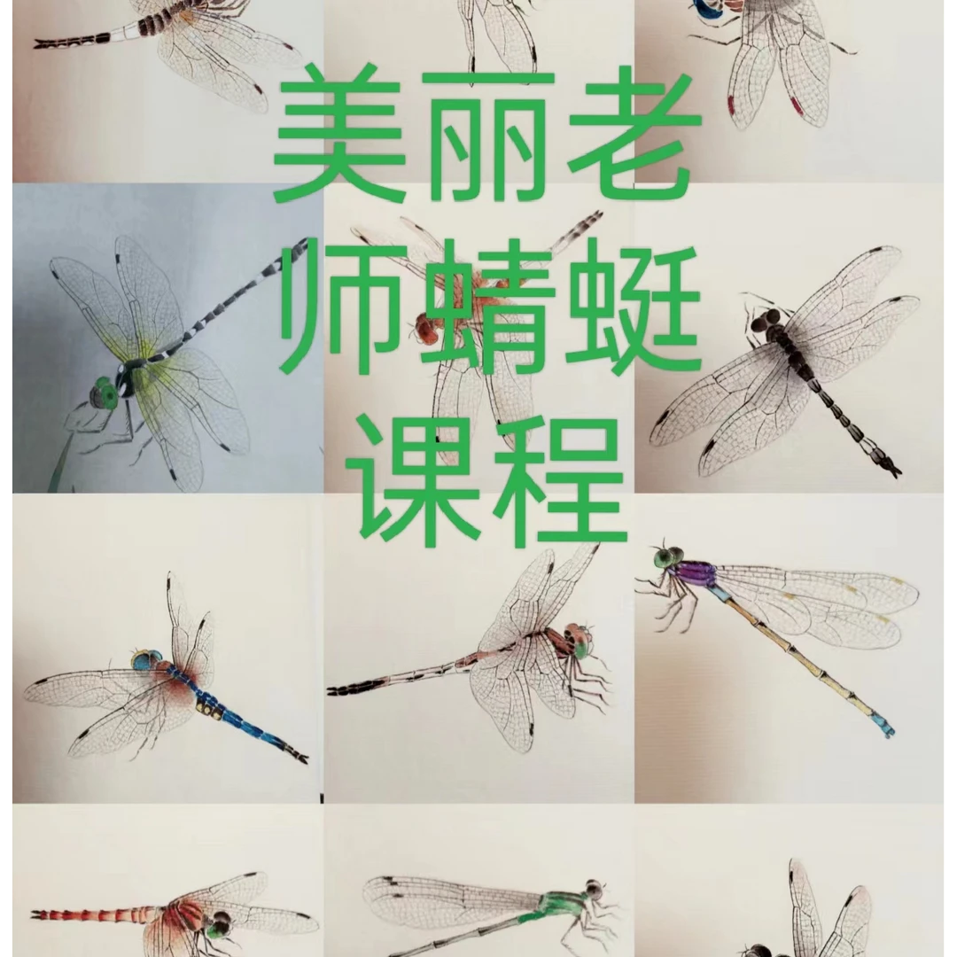 美丽老师   草虫系列（蜻蜓的结构、技法、画法、步骤解析)
