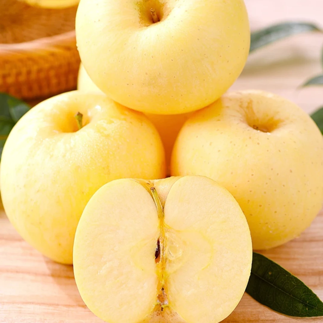 【盛美农甄选】正宗山东黄金维纳斯苹果4.5-5斤纯甜无酸 脆甜多汁