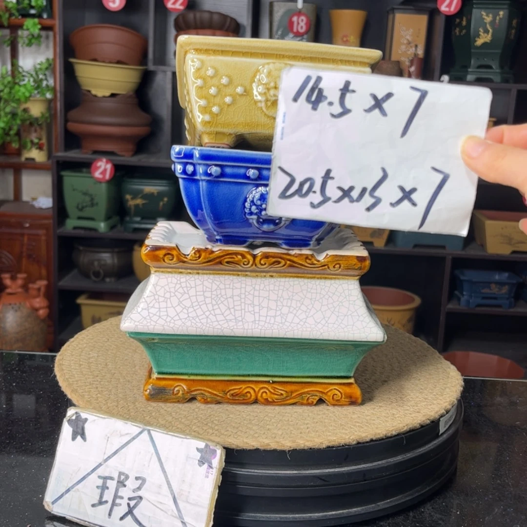 【闪购商品】紫砂15cm以下