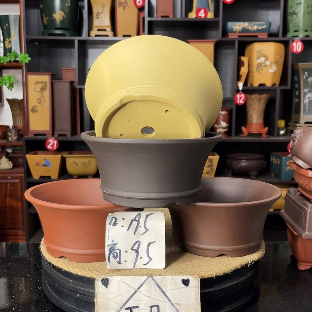 紫砂20CM（含）-50CM（不含）