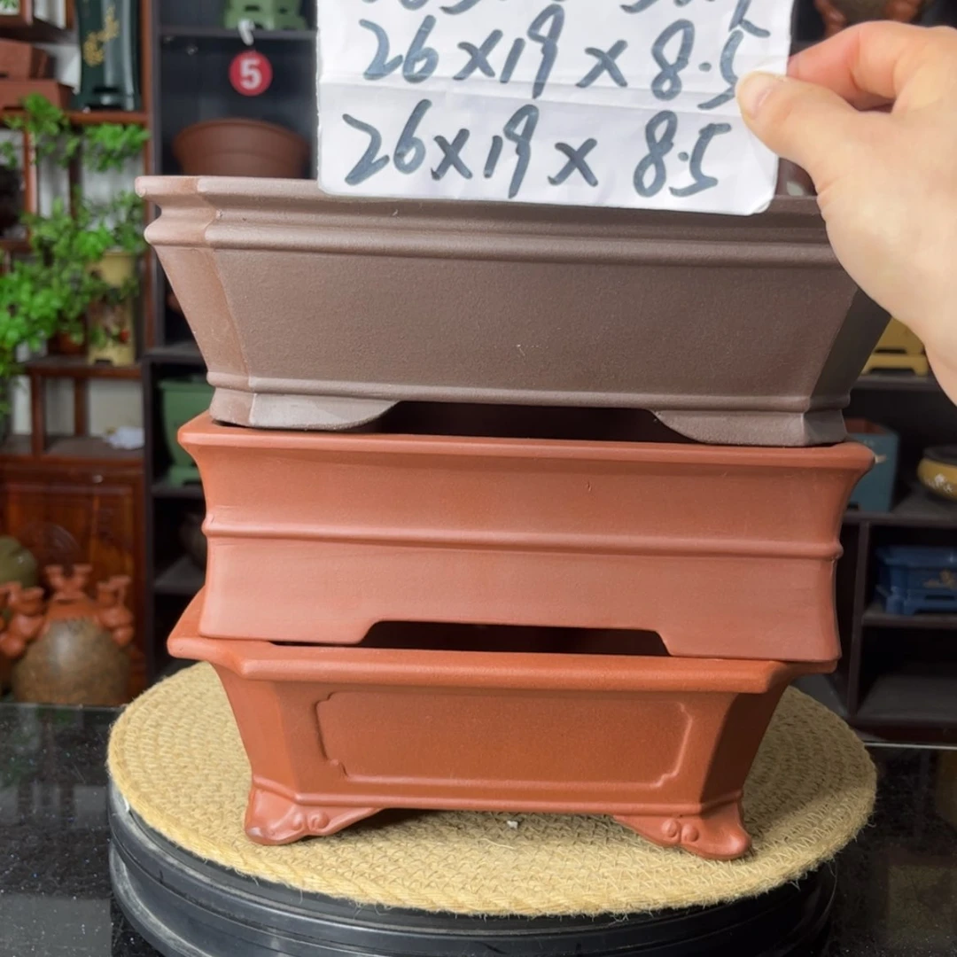 【闪购商品】紫砂15cm以下