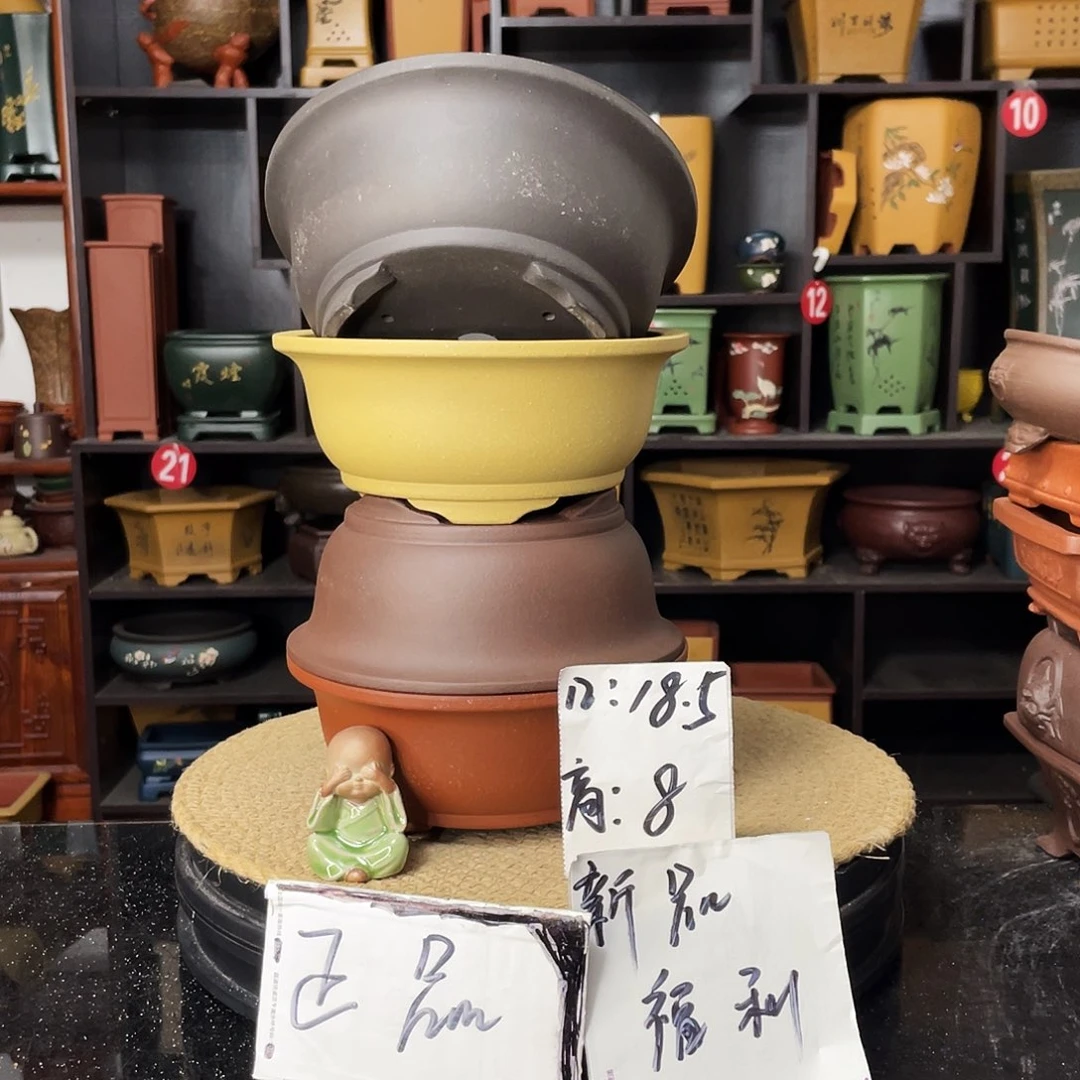 紫砂20CM（含）-50CM（不含）