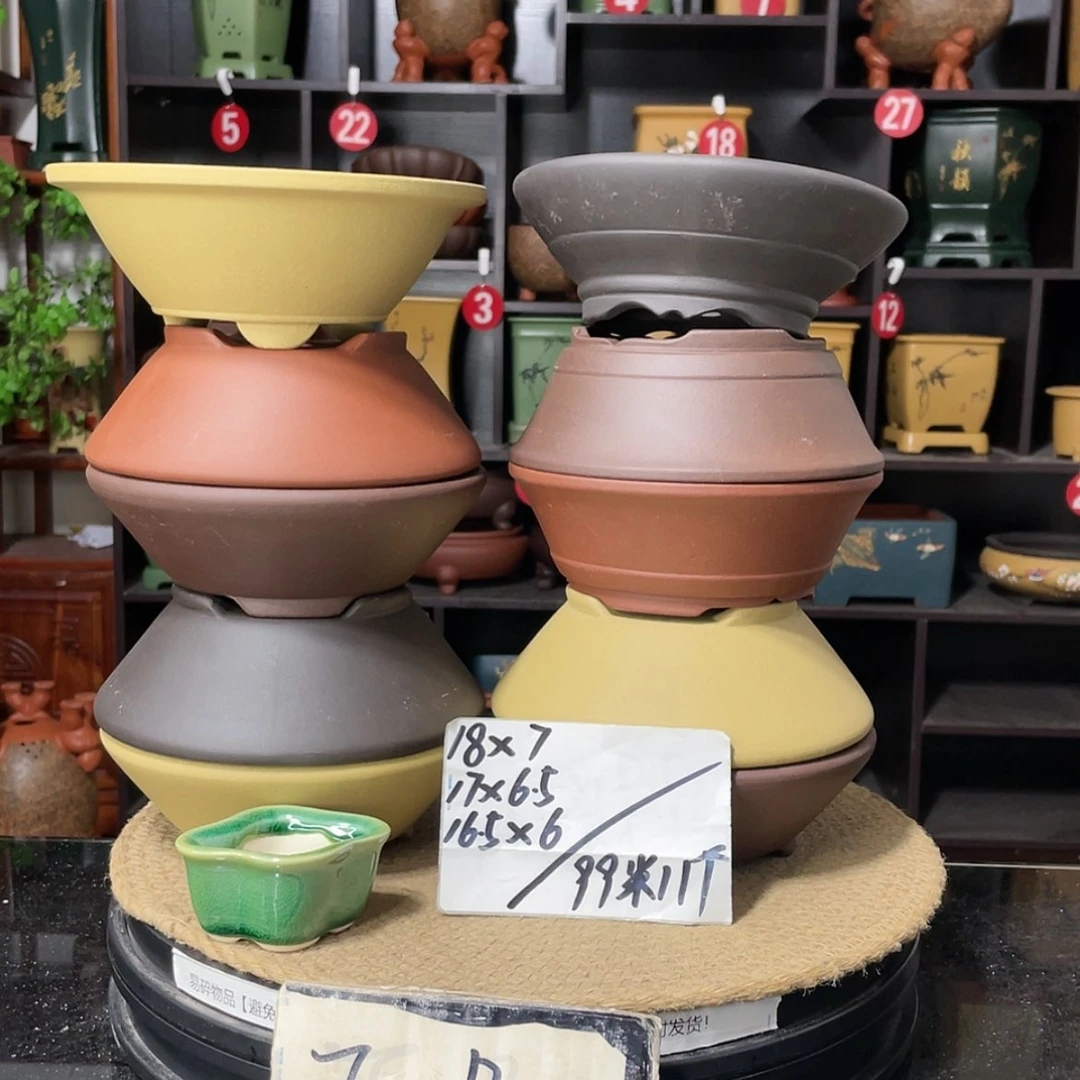 【闪购商品】紫砂15cm以下