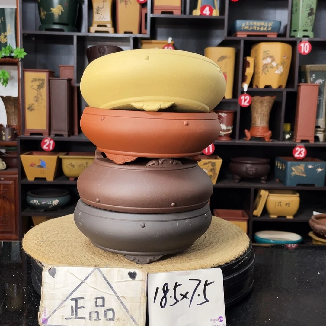 紫砂20CM（含）-50CM（不含）