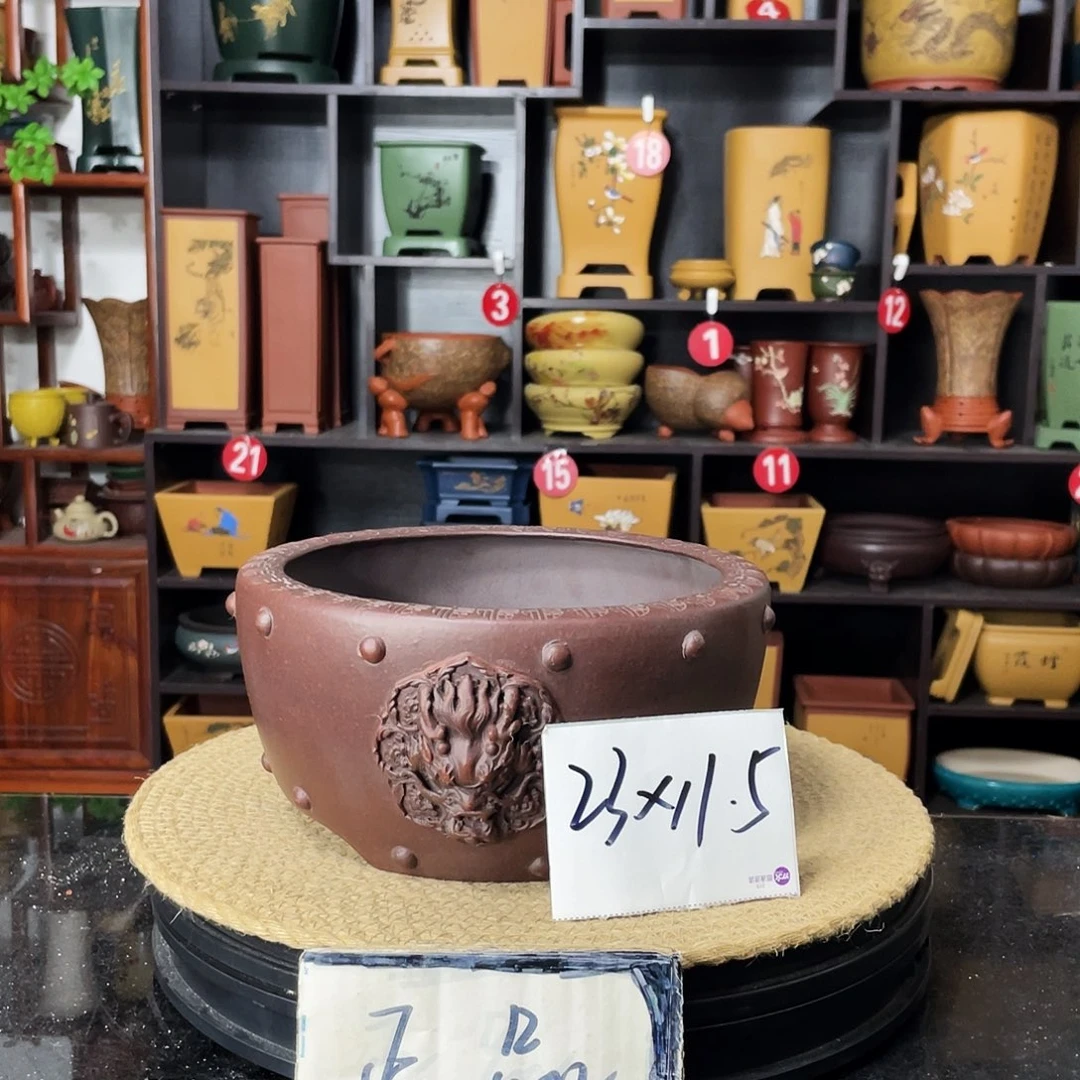 紫砂20CM(含)-50CM(不含)喵****