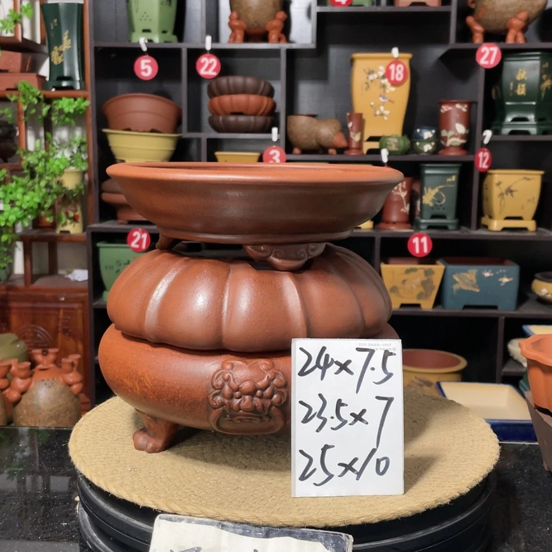 【闪购商品】紫砂15cm以下