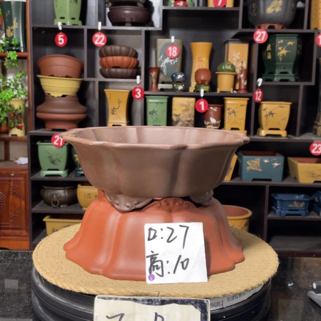 【闪购商品】紫砂15cm以下