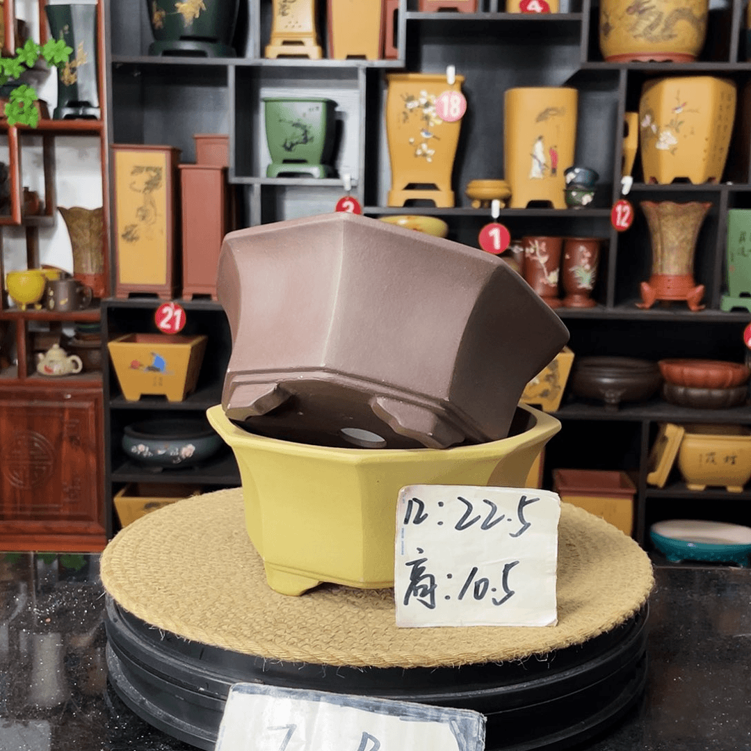 紫砂20CM（含）-50CM（不含）